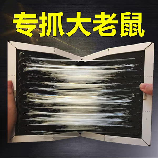 粘老鼠
